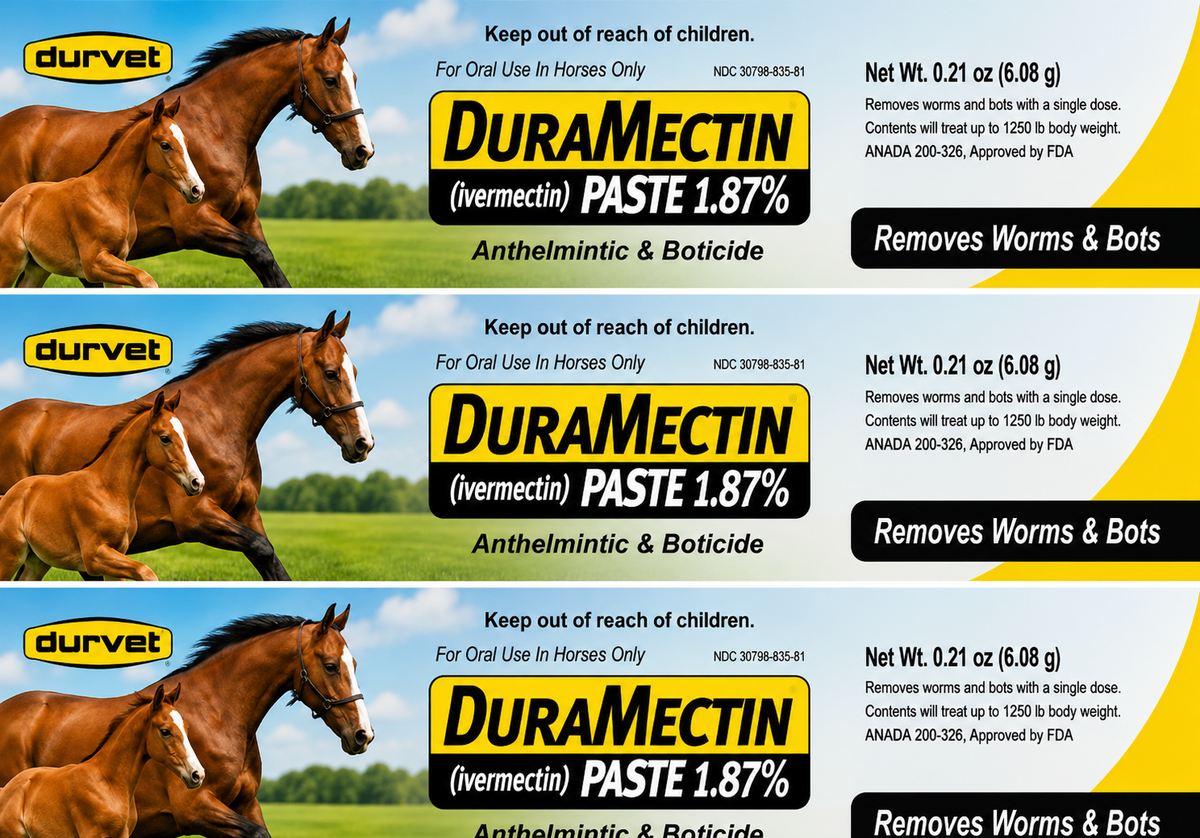 raMectin Ivermectin Paste 1.87% Horse Dewormer – Equine Anthelmintic & Boticide, 6.08g Syringe