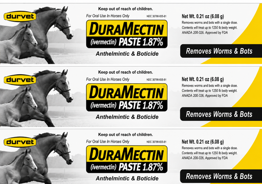 raMectin Ivermectin Paste 1.87% Horse Dewormer – Equine Anthelmintic & Boticide, 6.08g Syringe