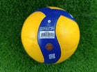Mikasa Volleyball V200W