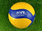 Mikasa Volleyball V200W
